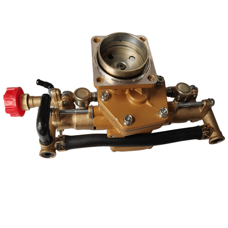 BOMBA PRESION FUMIGADORA GAS 2 TIEMPOS QL-900 767 - 768 TU26